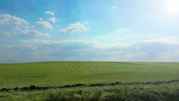 Landscape view green grass panorama under sunny day with sunlight, blue sky and clouds, shot with dolly camera and slow motion style, agriculture and nature — Stock Video