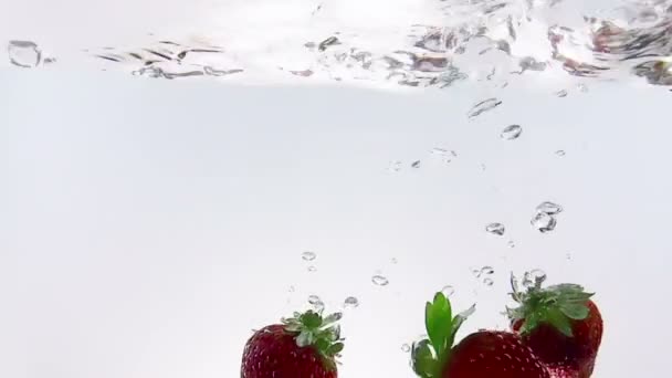 Červené ovoce jahody spadající do vody s úvodní, zastřelil v pomalém pohybu na bílém pozadí, jahod pro zdraví a diety, výživa — Stock video