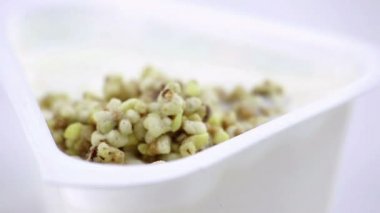 close-up sağlıklı tahıl ve çikolata yemek ile beyaz yoğurt kaşık kaşık diyet sağlıklı gıda kavramı ile 