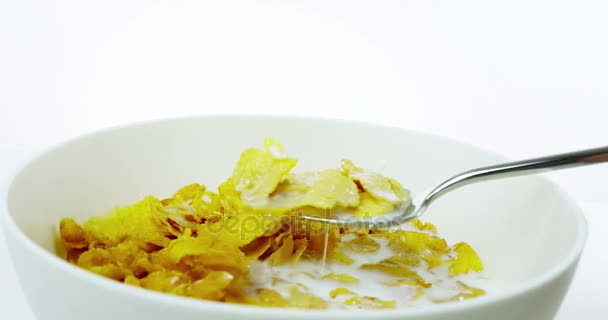 Iemand gebruik maken van de lepel voor granen cornflakes te eten in een kom met melk op een witte achtergrond, concept van dieet gezonde voeding — Stockvideo