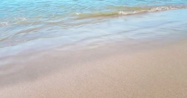 Mar de praia tropical caribenho com areia dourada, férias, relaxar e conceito de viagem — Vídeo de Stock