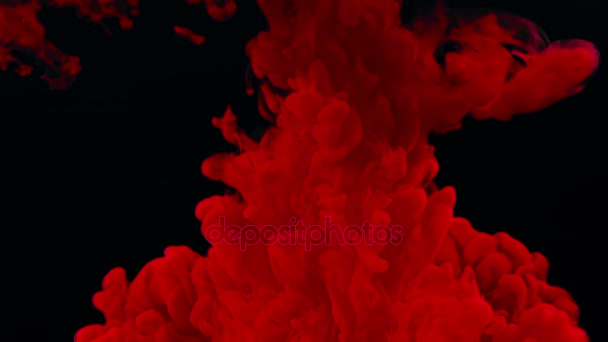 Abstract red ink splash in water on black background, slow motion ...