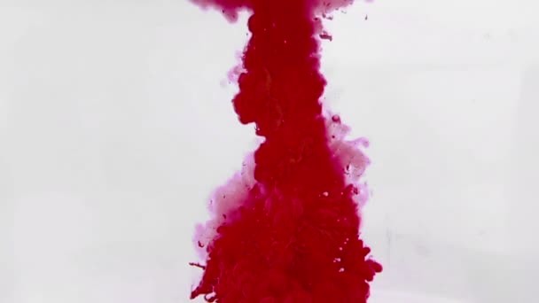 Abstrakt rött bläck plaska i vatten på vit bakgrund — Stockvideo