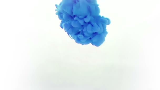 Abstract blue ink splash in water on white background — Stock Video