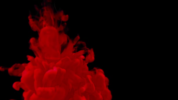 Abstract red ink splash in water on black background — Stock Video