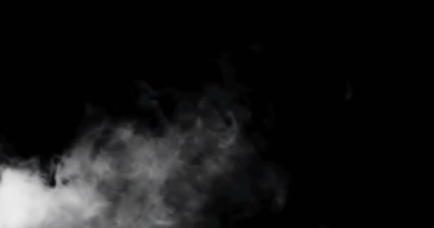 Boucle transparente de fumée flottant lentement dans l'espace contre le noir — Video