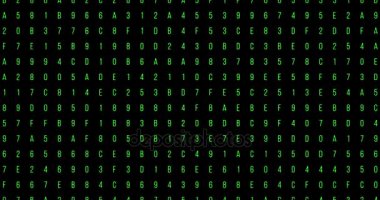 yeşil ekran sayı ve harf dijital kod akışı, bilgisayar oluşturulan sorunsuz döngü soyut hareket arka plan, hacker ve yeni teknoloji, ağ bağlantısı 