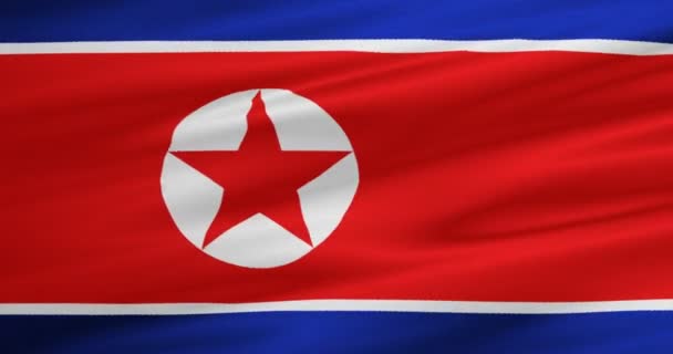 North korea flag waving texture fabric background, crisis of north and south korea, korean risk nuclear bomb war — Stock Video