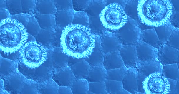 Animation of bacteria, virus, cell flowing on blue background, concept of healthcare medical care research — Stock Video