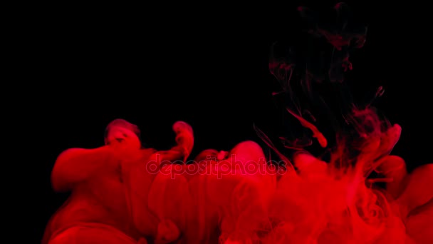 Abstract red ink splash in water on black background — Stock Video