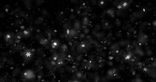 Navidad Pantalla Negra Fondo Con Copos Nieve Cayendo Nieve Parte — Vídeo de stock