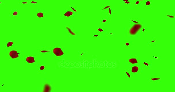 红色的玫瑰花瓣 飞上色度键 绿色屏幕背景 假日爱 关系和情人节日的概念 — 图库视频影像
