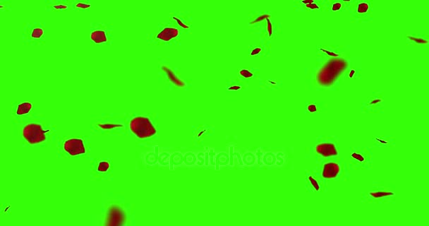 Red Rose Petals Flying Chroma Key Green Screen Background Holiday — Stock Video