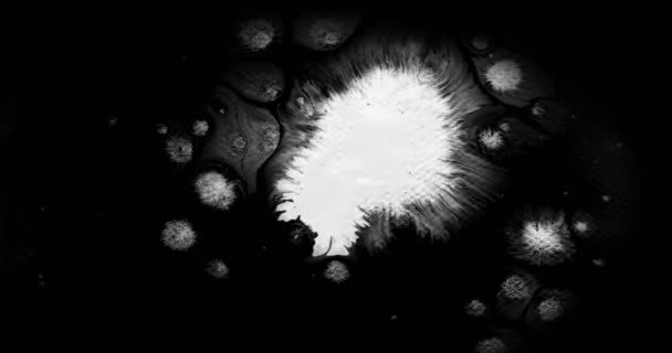 抽象画画笔描边形状白色油墨泼洒流动和在黑色背景下 洗墨飞溅飞溅的效果 — 图库视频影像