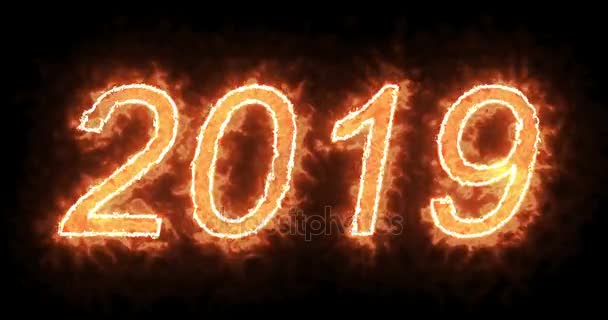 燃烧2019火字文字与火焰和烟雾在黑色的背景与 Alpha 节日快乐新年活动的概念 — 图库视频影像