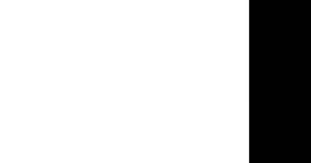 lignes abstraites verticales et obliques coup de pinceau noir et blanc fond multi transition, animation de la peinture  