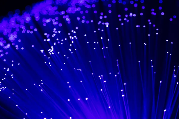 Dettaglio di blu crescente mazzo di fibre ottiche sfondo, veloce — Foto Stock