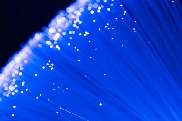 Dettaglio di blu crescente mazzo di fibre ottiche sfondo, veloce — Foto Stock