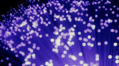 ayrıntı mavi, mor Menekşe büyüyen demet optik lifler arka plan, yüksek hızlı internet bağlantısı, değişikliği odak etkisi hareketinin için hızlı ışık sinyali