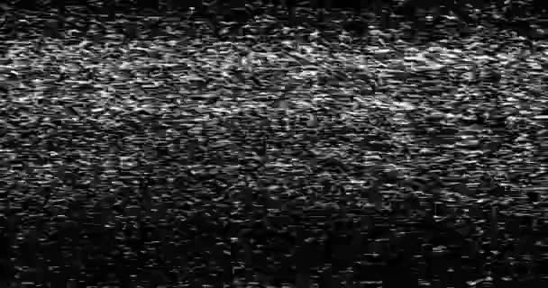 Bianco Nero Vhs Glitch Rumore Fondo Realistico Tremolio Segnale Analogico — Video Stock