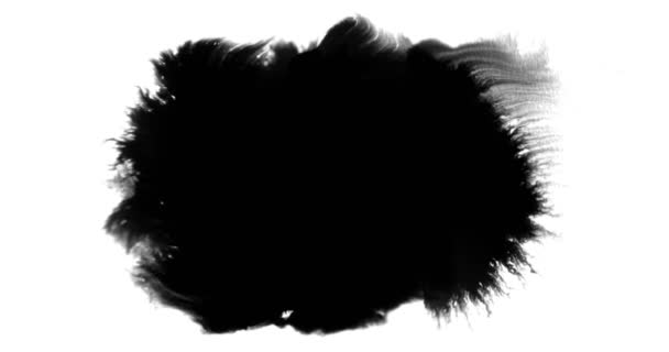 ペイント ブラシ ストローク形状黒インクが飛び散る流れて 白い背景に 芸術的なインク スプラッタ スプラッシュ効果で洗浄を抽象化します — ストック動画