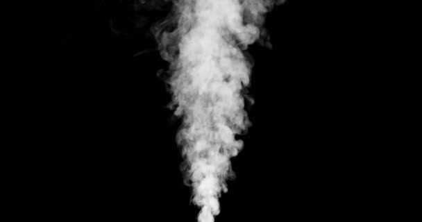 Soplado Vapor Vertical Con Humo Blanco Aislado Sobre Fondo Negro — Vídeos de Stock