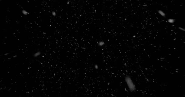 Christmas Real Snowflakes Falling Snow Top Winter Holiday Event Stars — Stock Video