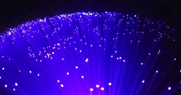 光ファイバー高速インターネット接続 変更色が青から紫フェード効果運動の高速光信号の背景の青 紫バイオレットの成長束の詳細 — ストック動画