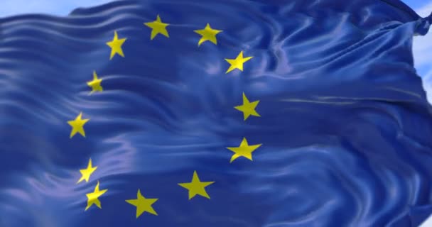 European Flag Euro Flag Pole Flag European Union Waving Yellow — Stock Video