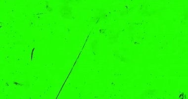 Krom anahtar yeşil ekran vhs arkaplan gerçekçi titreşimli, analog klasik televizyon sinyali ile kötü parazit ve dikey hatlar,