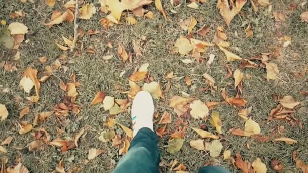 Zblízka bílé tenisky boty muž chůze horní pohled na koberec barevné podzimu — Stock video