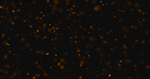 Astratto circolare d'oro scintilla scintillio bokeh movimento fluente su sfondo nero, congratulazione partito di saluto felice nuovo — Video Stock