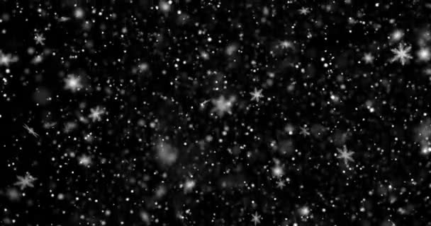 Fondo negro de Navidad con copos de nieve cayendo nieve desde arriba, festivo de vacaciones — Vídeo de stock