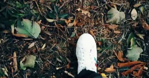 Zblízka bílé tenisky boty muž chůze horní pohled na koberec barevných podzimních listí a — Stock video