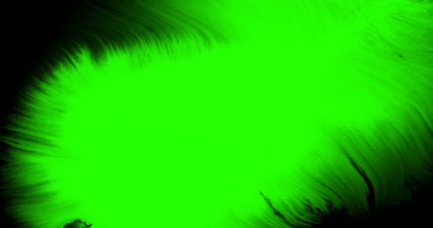 Abstracte verf borstel slagvorm witte inkt spetteren en wassen op chroma toets groen scherm, inkt spetteren plons — Stockvideo