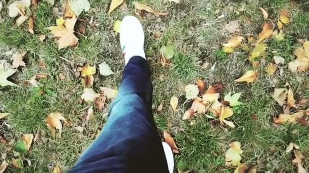 Närbild av vita sneakers skor man promenader ovanifrån på mattan av färgglada hösten — Stockvideo