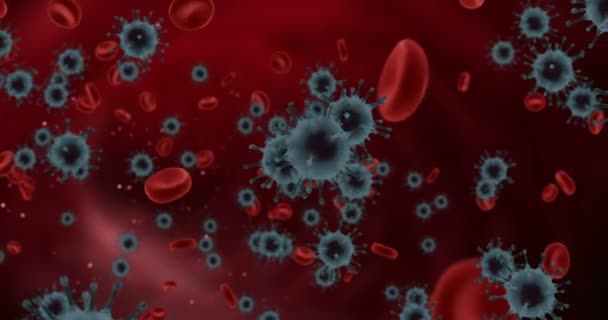 3Dレンダリング コロナウイルスおよび血液細胞は 疾患細胞のリスク概念としてのパンデミック医療健康リスクの概念として危険なインフルエンザ株のケースとして動脈の背景に流れるCovid 19インフルエンザ — ストック動画
