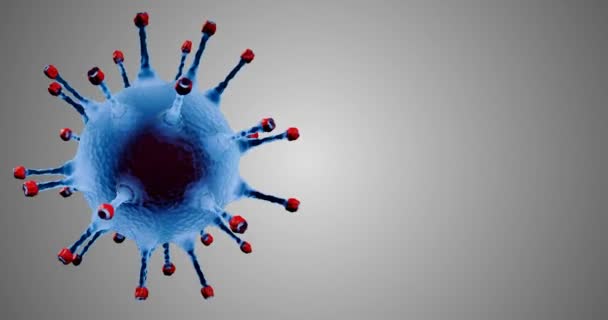 Rendering Animation Blue Coronavirus Cells Covid Influenza Flowing Grey Gradient — Stock Video