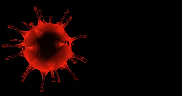 Rendering Animation Blaue Coronavirus Zellen Covid Influenza Auf Grauem Gradienten — Stockvideo