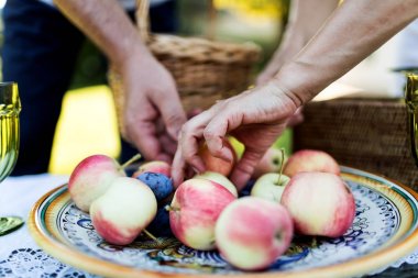 eller plaka meyve toplama