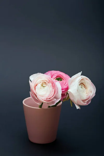 Kesme Çiçek Saksı Içinde Closeup Görünümü — Stok fotoğraf