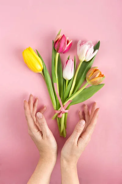 Arriba Vista Recortada Tulipanes Corte Colorido Manos Humanas Superficie Rosa — Foto de Stock