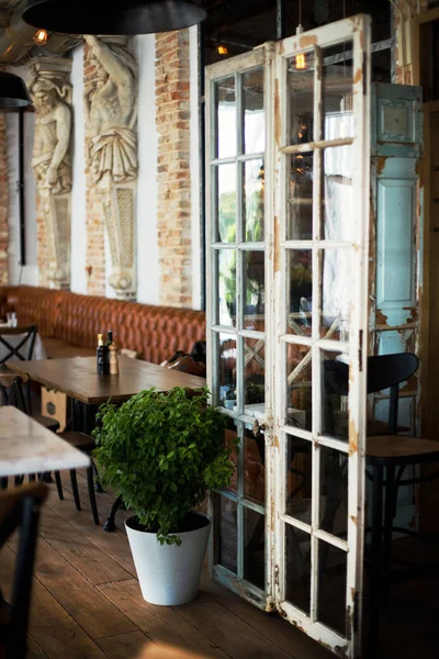 Restoranda Eski Püskü Ahşap Kapılar Yakınındaki Saksı Yeşil Bitkinin Gündüz — Stok fotoğraf
