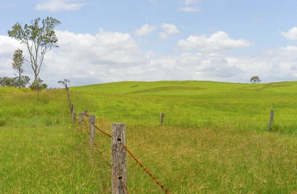 Koppeln auf der Weide in der ländlichen Königinnenwelt — Stockfoto