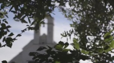Katolik Kilisesi'nın