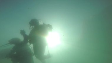 suda yüzen dalgıçlar