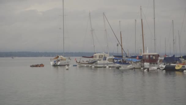 Яхти на озері в похмурий день — стокове відео