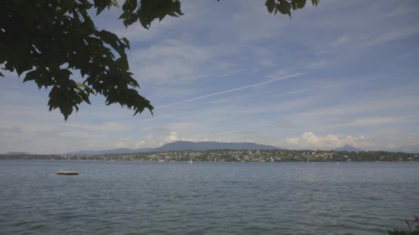 Vista maravilhosa do lago — Vídeo de Stock