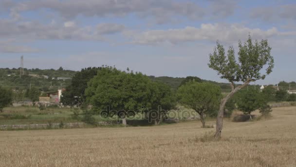 Venkovská krajina v klidný den — Stock video