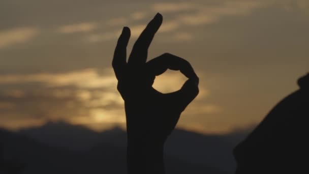 Рука жінки зі знаком " Гаразд" — стокове відео